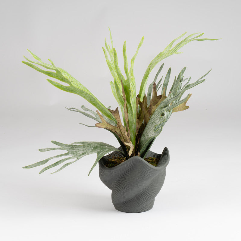 53cm Artificial Sea Greens in Cement Shell Pot